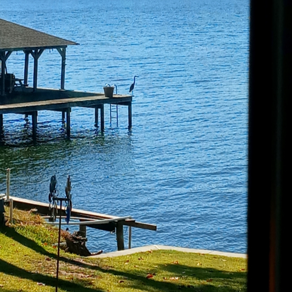 Just a picture, I took
